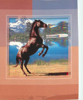 Format Spécial - 155 X 102 Mms - Animaux - Chevaux - Etat Carte Mal Découpée - Frais Spécifique En Raison Du Format - CP - Paarden