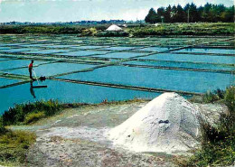 Metiers - Marais Salants - Saliculture - Saliculteurs - Sauniers - Paludiers - Bretagne - Marais Salants - Paludiers Ras - Other & Unclassified