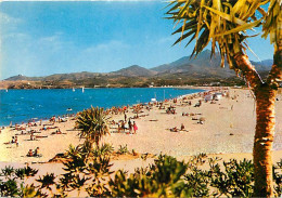 66 - Argelès Sur Mer - La Plage  Au Loin Les Albères - Scènes De Plage - CPM - Voir Scans Recto-Verso - Argeles Sur Mer