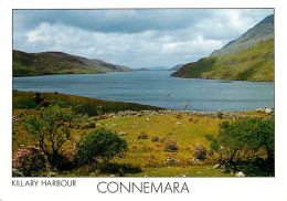 Irlande - Galway - Connemara - Killary Harbour - Carte Neuve - Ireland - CPM - Voir Scans Recto-Verso - Galway