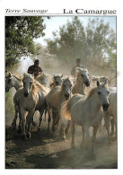 Animaux - Chevaux - CPM - Voir Scans Recto-Verso - Horses