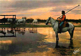 Animaux - Chevaux - Camargue - La Manade Au Coucher Du Soleil - Gardians - Voir Scans Recto Verso  - Chevaux