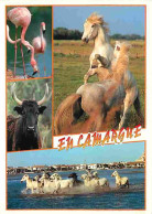 Animaux - Chevaux - Camargue - Multivues - Chevaux Camarguais - Flamants Roses - Taureaux - Voir Scans Recto Verso  - Caballos