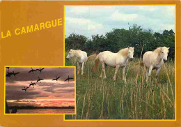 Animaux - Chevaux - Camargue - Multivues - Flamants Roses - CPM - Voir Scans Recto-Verso - Paarden