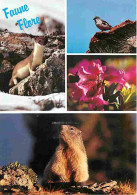 Animaux - Belette - Marmotte - Multivues - CPM - Voir Scans Recto-Verso - Other & Unclassified
