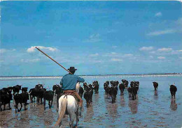 Animaux - Taureaux - En Camargue - Gardian Et Ses Taureaux - CPM - Voir Scans Recto-Verso - Taureaux