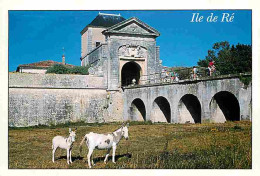 Animaux - Anes - Ile De Ré - Les Petits Anes Devant La Porte Des Campaniles - Anon - Flamme Postale - CPM - Voir Scans R - Ezels