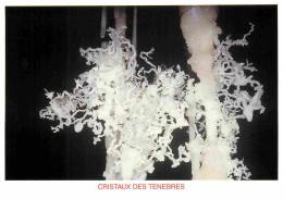 34 - Hérault - Grotte De Clamouse - Cristaux Des Ténèbres - Aragonite Coralloide Excentrique - Le Bouquet De La Mariée - - Sonstige & Ohne Zuordnung