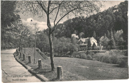 CPA Carte Postale Germany Baden-Baden Fischkultur Bei Baden-Baden 1910 VM81188 - Baden-Baden