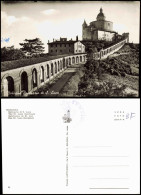 Cartoline Bologna Santuario Di S. Luca The St. Luke Sanctuary 1960 - Autres & Non Classés