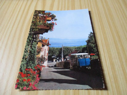 Thonon-les-Bains (74).Pittoresque Ruelle Fleurie - Le Funiculaire - Le Lac Léman. - Thonon-les-Bains