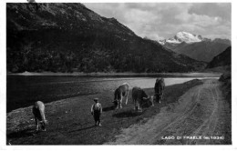 Cancano - Fraele Lago - Sondrio