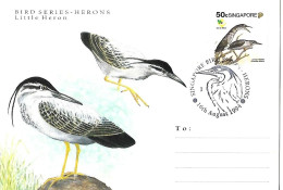 Singapore - Maximum Card 1994 : Striated Heron -   Butorides Striata - Other & Unclassified