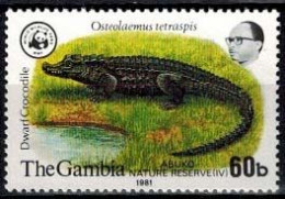 MDW-BK27-299 MDS MINT ¤ GAMBIA 1981 1w ONLY CROCODILE  ¤ WWF - DWARF CROCODILE - DWERG KROKODIL - Otros & Sin Clasificación