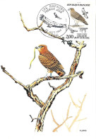 France - Maximum Card 1984 :     Short-toed Snake Eagle  -  Circaetus Gallicus - Águilas & Aves De Presa