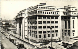 ALGER  Boulevard Bugeaud Nouvelle Mairie Voitures 203 4CV 2CV ...RV - Algeri