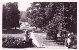 58 - Nievre -  SAINT HONORE Les BAINS - Vue Du Parc - Prise De L'hotel Le Morvan - Saint-Honoré-les-Bains