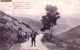 65 - Hautes Pyrenées - Vallée De Louron - Col De PEYRESOURDE Entre Luchon Et Arreau - Andere & Zonder Classificatie