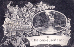 51 - Marne - Bonjour De  CHALONS  Sur MARNE  - Châlons-sur-Marne