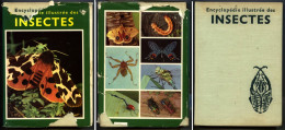 Collection GRÜND ‘’ENCYCLOPEDIE ILLUSTREE DES INSECTES ‘’ - 1974 - NC - Encyclopaedia