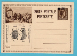 LUXEMBOURG Illustrated Postal Stationery Card With Potato Beatle Warning - Postwaardestukken