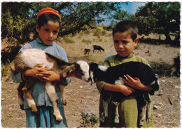 Maroc Amis Des Bêtes Dans Le Sud Marocain - Sonstige & Ohne Zuordnung