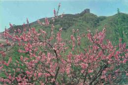 Chine - La Grande Muraille De Chine - The Great Wall - Dawing Of A Spring Day - Badaling - China - CPM - Carte Neuve - V - China