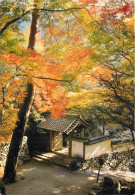 Japon - Kyoto - Kozanji Temple At Takao In Autum - Nippon - Japan - CPM - Voir Timbre - Voir Scans Recto-Verso - Kyoto