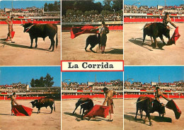 Corrida - Multivues - Carte Neuve - CPM - Voir Scans Recto-Verso - Corrida