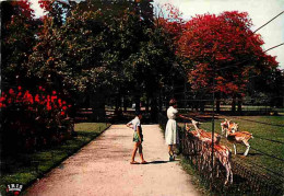 69 - Lyon - Parc De La Tete D'Or - Les Biches - CPM - Voir Scans Recto-Verso - Autres & Non Classés