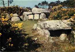 56 - Carnac - Alignements Mégalithiques De Mané-Kerioned Près De Carnac - Menhirs - CPM - Voir Scans Recto-Verso - Carnac