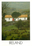 Irlande - A Typical Irish Cottage - Ireland - CPM - Voir Scans Recto-Verso - Andere