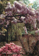 27 - Giverny - La Maison Et Le Jardin De Claude Monet - Le Jardin D'eau - La Glycine Mauve - Fleurs - CPM - Voir Scans R - Andere & Zonder Classificatie