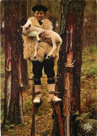 Animaux - Moutons - La Lande - Groupe Landais Lous Cadetouns - Dans La Forêt Landaise, Un Jeune Berger A Secouru Un Peti - Sonstige & Ohne Zuordnung
