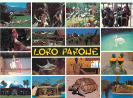 Animaux - Tenerife - Puerto De La Cruz - Loro Parque - Multivues - Zoo - CPM - Carte Neuve - Voir Scans Recto-Verso - Sonstige & Ohne Zuordnung