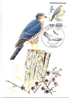 France - Maximum Card 1984 :     Eurasian Sparrowhawk   - Accipiter Nisus - Eagles & Birds Of Prey