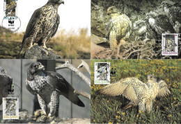 Iceland - 4 Maximum Card 1992 :     Gyrfalcon  - Falco Rusticolus - Adler & Greifvögel