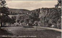 Ilsenburg, Harz, Promenade Am Forellenteich Ngl #G5380 - Autres & Non Classés