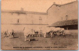 BOEUFS De La CARNINE LEFRANC - Avant La Visite Sanitaire - Dos Simple - Campesinos