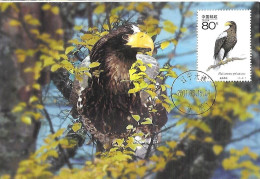 China - Maximum Card 2001 :  Steller's Sea Eagle  -  Haliaeetus Pelagicus - Águilas & Aves De Presa