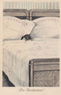 Dackel Teckel Bassotto Dachshund Dog Lying In Bed Old Postcard 1912 - Hunde