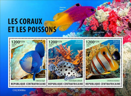 Central Africa 2023 Corals & Fishes Marine Life S202404 - Centrafricaine (République)