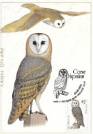 Ukraine - Maximum Card 2003 :  Western Barn Owl -   Tyto Alba - Eagles & Birds Of Prey
