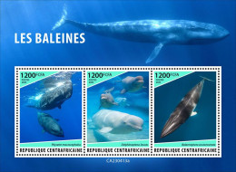 Central Africa 2023 Marine Life Whales S202404 - Centrafricaine (République)