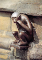 Mons - Le Singe Porte Bonheur - Mons