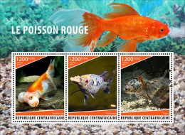 Central Africa 2023 Marine Life Goldfish S202404 - Central African Republic