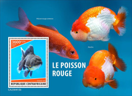 Central Africa 2023 Marine Life Goldfish S202404 - Centrafricaine (République)