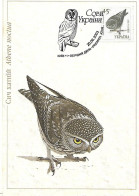Ukraine - Maximum Card 2003 :   Little Owl  - Athene Noctua - Gufi E Civette