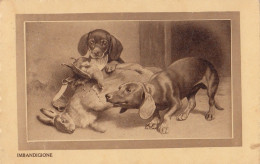 Dackel Teckel Bassotto Dachshund Dog W Rabbit & Quail Old Postcard 1929 - Dogs