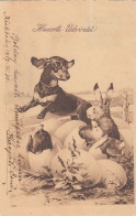 Dackel Teckel Bassotto Dachshund Dog & Easter Bunny Old Postcard 1907 - Hunde